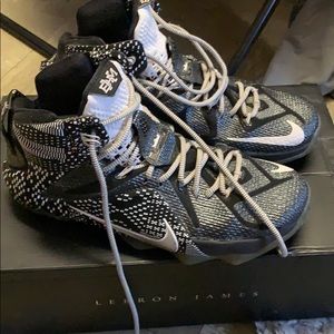 Lebron 12s BHM (black history month edition)